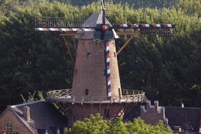 Mühle Kalkar Blick auf Flügel und Gebäude der Kalkarer Stadtwindmühle, die vom Grün einiger Bäume umrahmt wird
