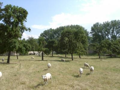 Klimaschutzpreis_Gewinner_2021_Foto3.jpg