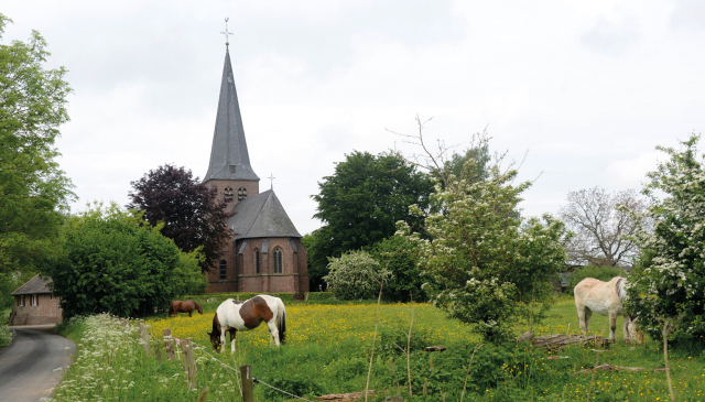Das Foto zeigt die St. Antonius Kirche in Kalkar-Hanselaer mit einer Pferdewiese im Vordergrund.