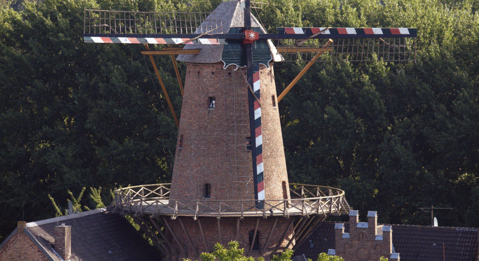 Blick auf Flügel und Gebäude der Kalkarer Stadtwindmühle, die vom Grün einiger Bäume umrahmt wird