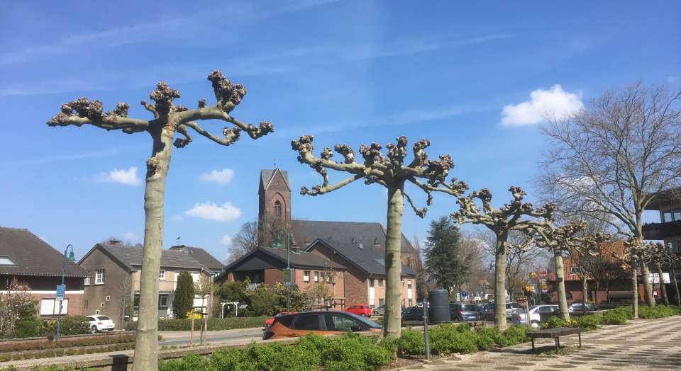 Marktplatz Altkalkar mit Blick auf die St. Pankratius Kirche