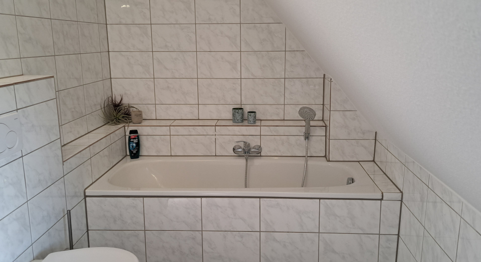 Ferienhaus Maas, Bad, Badewanne