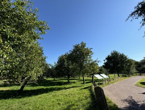 Straße Dominikaner Bongert in Kalkar mit angrenzender Wiese mit Obstbäumen und Infoschildern des NABU