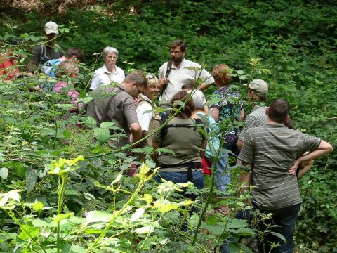 Das Bild zeigt eine Gruppe bei einer Stadtführung zur Teufelsschlucht.